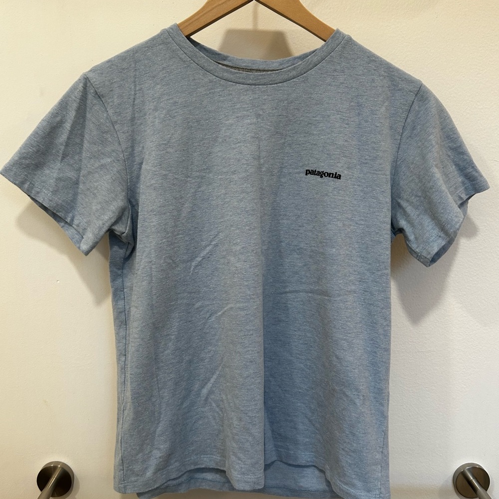 Patagonia Fitz Roy Icon Responsibili-Tee